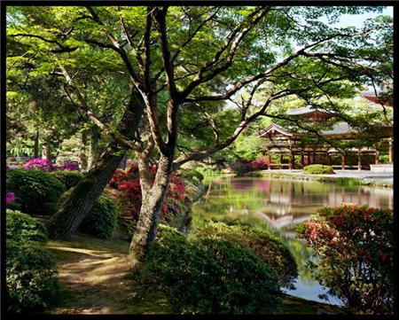 Японские сады (William Corey)